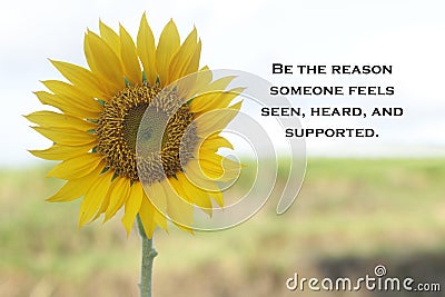 Inspirational quote - Be the reason someone feels seen, heard, and supported. On soft yellow background of sunflower in field. Stock Photo