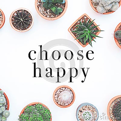 Inspirational quote `Choose Happy`. Cactus plant on white background. Stock Photo