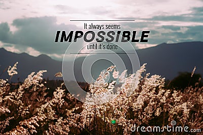 Inspirational quote on Cogon grass field. Stock Photo