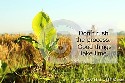 Inspirational quote - Do not rush the process. Good things take time. With baby banana tree growth in the field as illustration. Cartoon Illustration