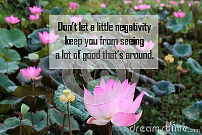 Inspirational quote - Don`t let a little negativity keep you from seeing a lot of good that`s around. On lotus flower in pond. Stock Photo