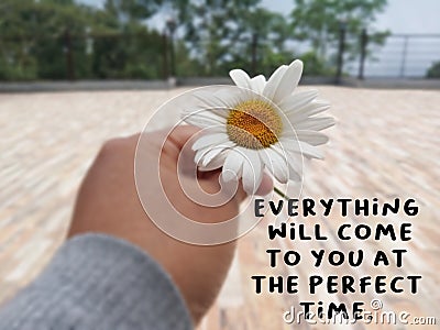 Inspirational quote - Everything will come to you at the perfect time. With person holding white daisy flower in hand. Stock Photo