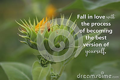 Inspirational quote - Fall in love with the process of becoming the best version of yourself. With young green sunflower plant. Stock Photo