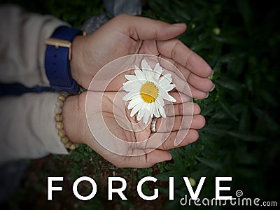 Inspirational quote - Forgive. With a beautiful white daisy flower in young woman open hands blossom background. Forgiveness word. Stock Photo