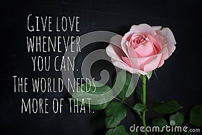 Inspirational quote - Give love whenever you can. The world needs more of that. With single pink rose on black background. Stock Photo