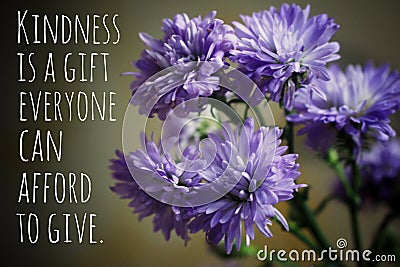 Inspirational quote - Kindness is a gift everyone can afford to give. With background of blue and purple flowers. Stock Photo