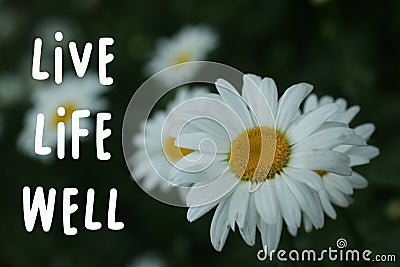 Inspirational quote - Live life well. Positive life and happiness concept with nature flower plant. Stock Photo