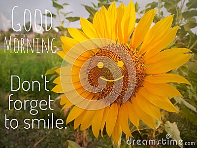 Inspirational quote & morning greeting - Good morning. Do not forget to smile. With background of cute & smiling face sunflower. Stock Photo