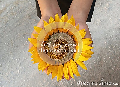 Inspirational quote - Self forgiveness cleanses the soul. With background of sunflower blossom in open hands. Forgiving words. Stock Photo