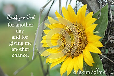Inspirational quote - Thank you God for another day and for giving me another chance. With beautiful yellow sunflower blossom. Stock Photo