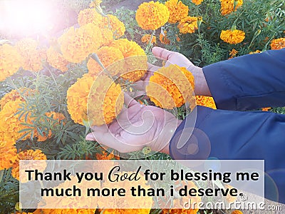 Inspirational quote - Thank you God for blessing me much more than i deserve. With warm light shine over marigold flowers. Stock Photo