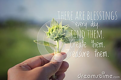 Inspirational quote - There are blessings every day. Find them, create them, treasure them.Young plant of sunflower in hand. Stock Photo