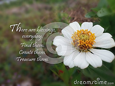 Inspirational quote- There is blessings, everyday. Find them. Create them. Treasure them. With beautiful white single Sinnia Stock Photo