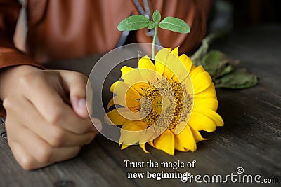 Inspirational quote - trust the magic of new beginnings. With young woman hand, yellow sunflower blossom and its plant. Stock Photo