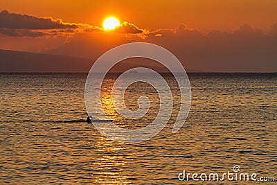 Inspirational kayaker rowing across the sunset lit ocean on Maui. Stock Photo