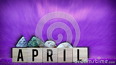 inspirational time concept - word april on wooden blocks with seashells in purple vintage background Stock Photo