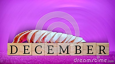 inspirational time concept - word december on wooden blocks with seashells in purple vintage background Stock Photo