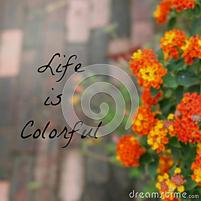Inspirational Typographic Quote - Life is Colorful Stock Photo