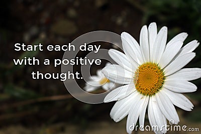 Inspirational words - Start each day with a positive thought. Business motivational words concept with spring white daisy flowers Stock Photo