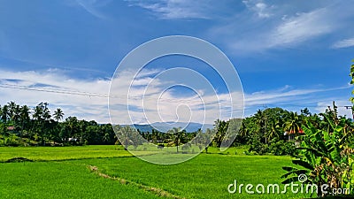 Abstract with a beautiful texture on a purple background Stock Photo