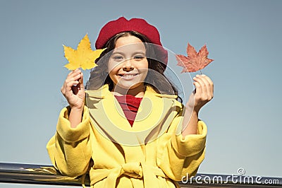 Inspiring fall. Ideas for autumn leisure. Little girl adore autumn season. Kid hold maple leaves. Small girl wear fall Stock Photo