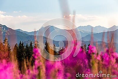 Inspiring Mountains Landscape Panorama, beautiful summer day in Tatras Stock Photo