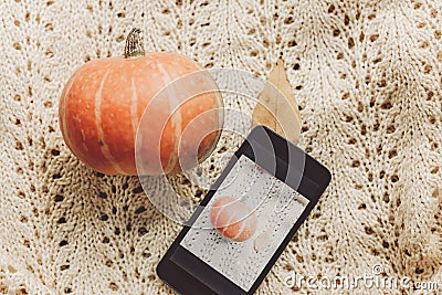 Instagram blogging concept. phone with photo of pumpkin and leaf Stock Photo