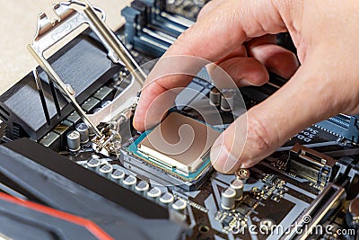 Installing a blank central processor on a motherboard. The blank CPU is installed in the motherboard connector. DIY PC Stock Photo