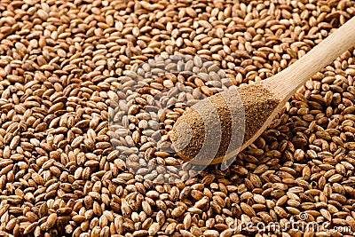 Instant caffeine free organic barley powder in spoon and roasted beans. Stock Photo