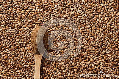 Instant organic barley substitute powder caffeine free. Veiw from above. Copy space. Stock Photo