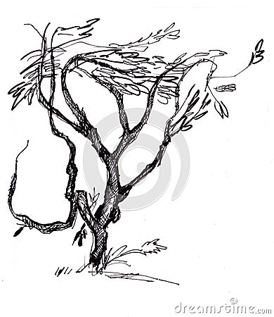 Instant sketch, branchy tree Stock Photo