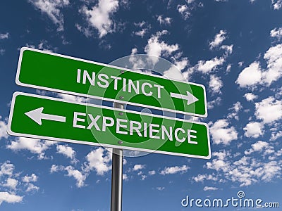 Instinct experience traffic sign Stock Photo