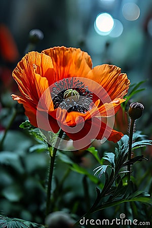 Instinct Fails: A Stunning Closeup of Fear and Beauty in the Wil Stock Photo