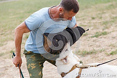 The instructor conducts the lesson with the white Swiss shepherd dog Stock Photo