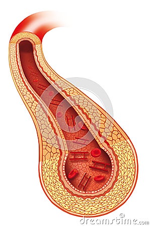 Insulin Stock Photo