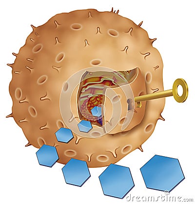 Insulin key Cartoon Illustration