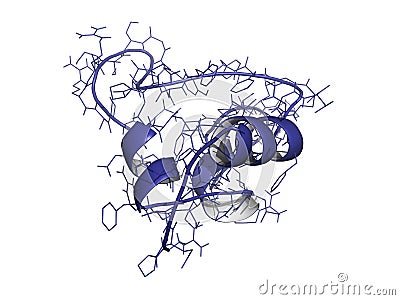 Insulin-like growth factor (IGF-1, somatomedin C) Stock Photo