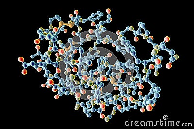 Insulin-like growth factor Cartoon Illustration