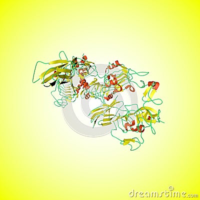 Insulin receptor ectodomain in complex with insulin molecule. 3d illustration Cartoon Illustration