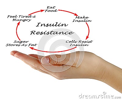 Insulin Resistance Stock Photo