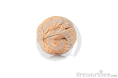 Intact walnut, close up macro, isolated on a white background. Stock Photo