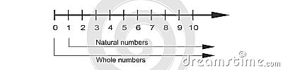 Integers on number line with positive numbers and zero. Math chart for addition and subtraction operations in school Vector Illustration
