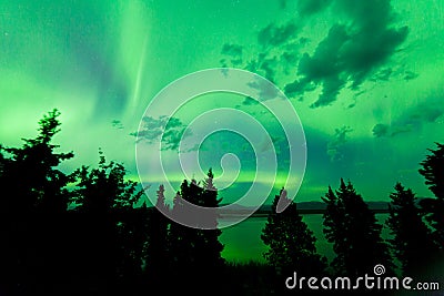 Intense green northern lights over boreal forest Stock Photo