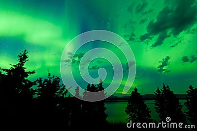 Intense green northern lights over boreal forest Stock Photo