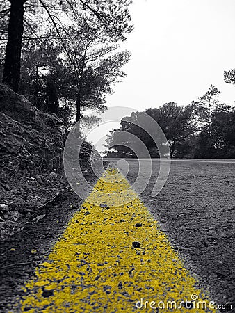 Intense yellow line on a forest road Stock Photo