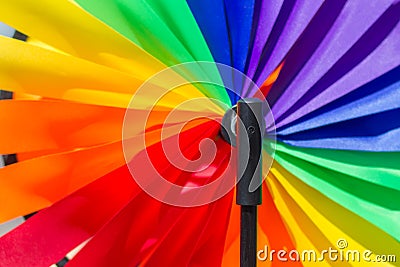 Intensity and brightness of a sunny day Stock Photo