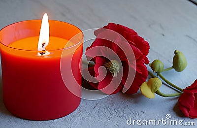 intentionally soft flanders poppies and candle to commemorate remembrance, Stock Photo