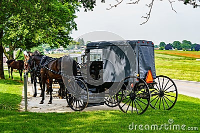 Amish Horses and Buggies Editorial Stock Photo