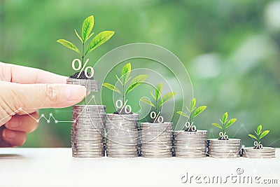 Interest rate up and Banking concept, Plant growing on stack of coins money on natural green background Stock Photo