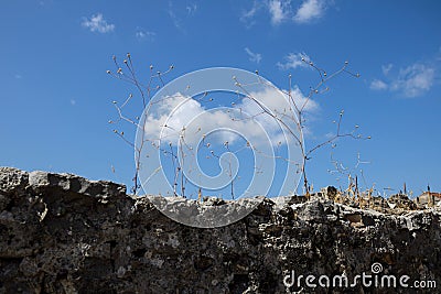 An interesting cloud on the sky. Stock Photo